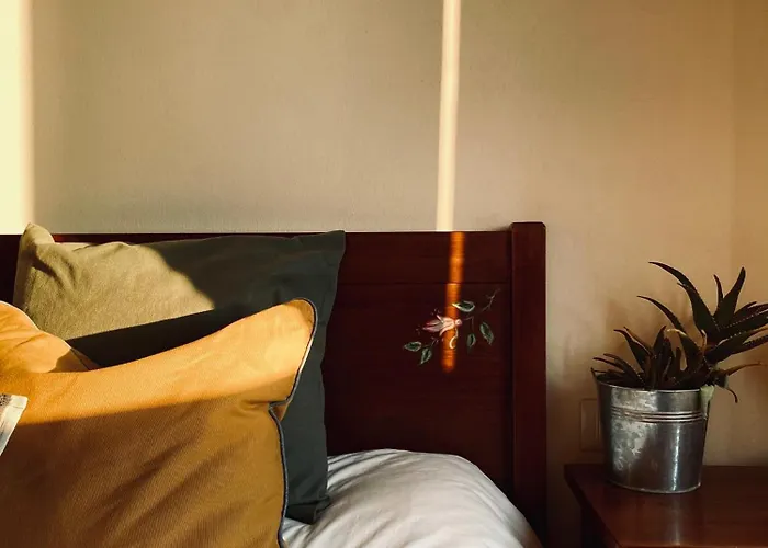 Bed & Breakfast La Siba Experience Forlì