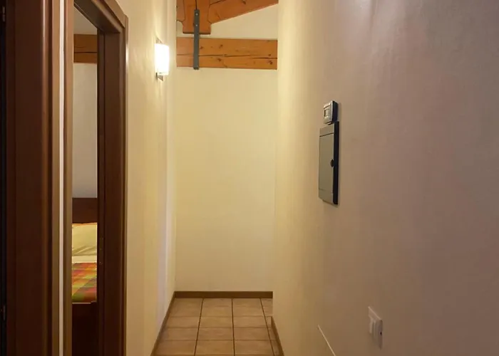 La Siba Experience Forlì