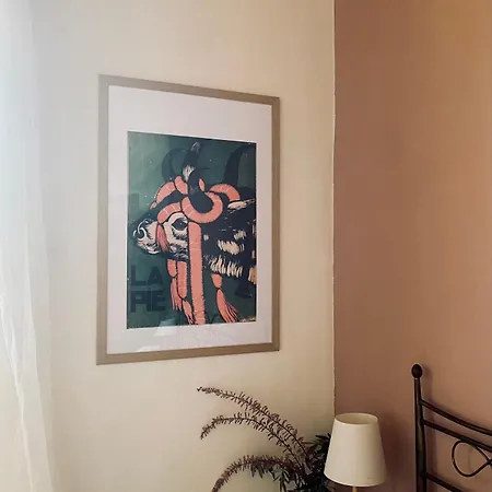 La Siba Experience * Forlì