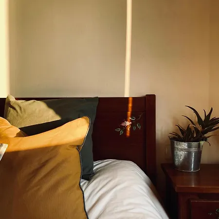 Alojamento de Acomodação e Pequeno-almoço La Siba Experience Forlì