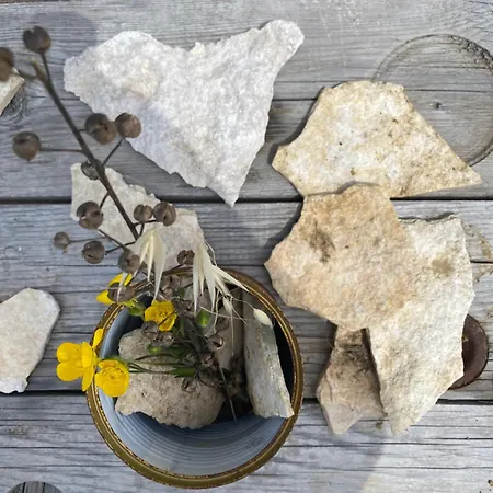 La Siba Experience * فورلي