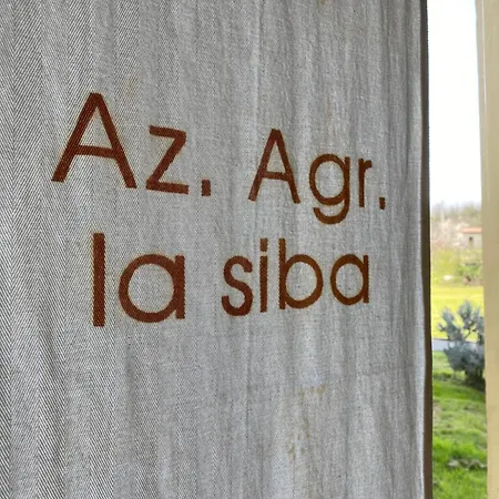 La Siba Experience فندق مبيت وإفطار فورلي