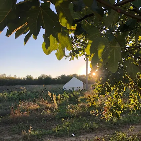La Siba Experience