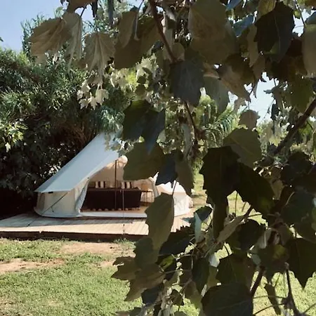 La Siba Experience فورلي