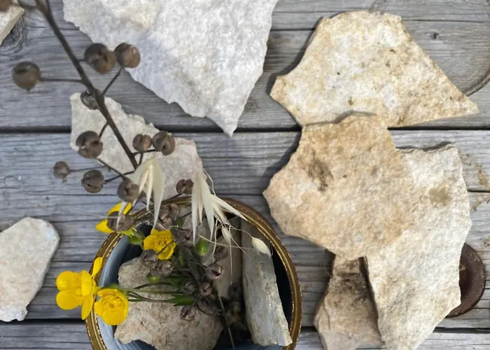 La Siba Experience * Forlì