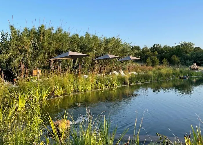 Bed and breakfast La Siba Experience Forlì